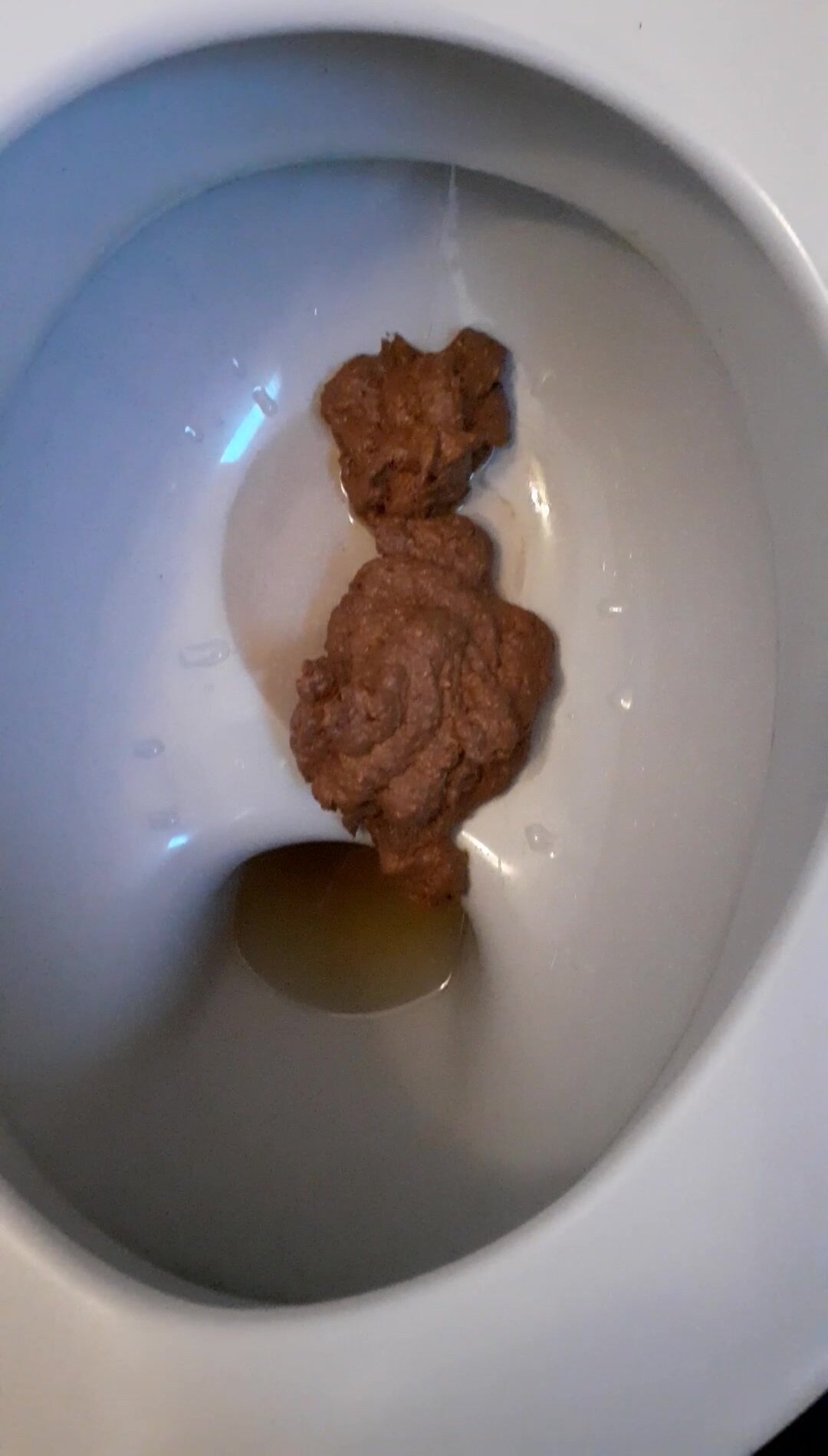 My massiver poop. Mery Christmas.