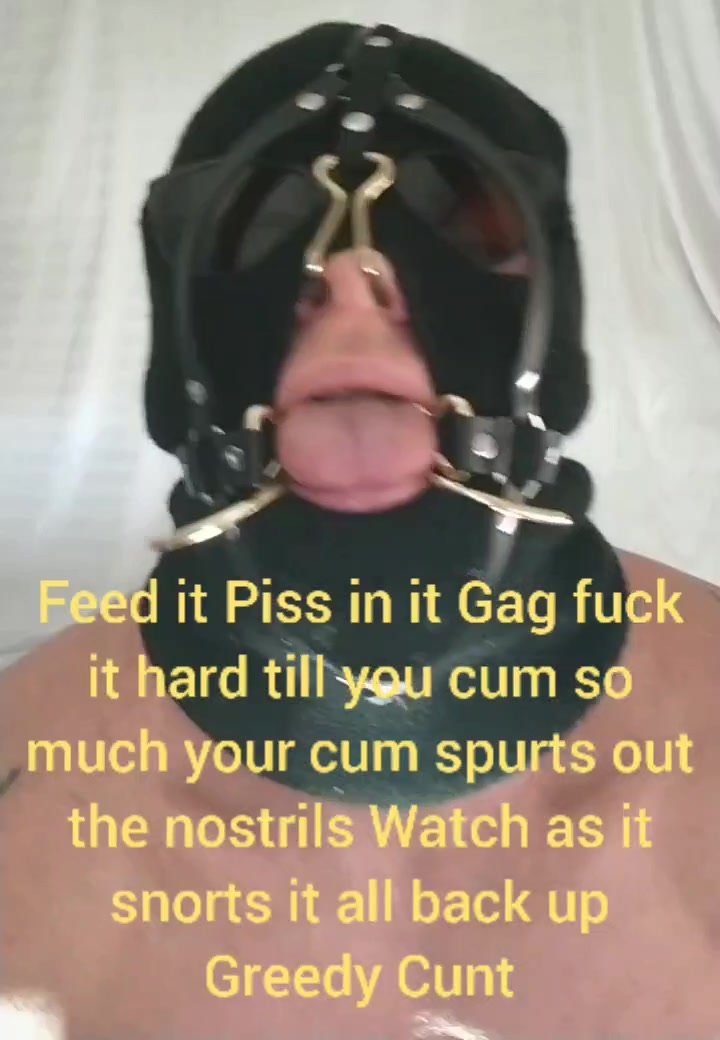 Feed the pet