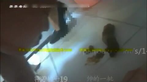 Chinese femdom - video 490