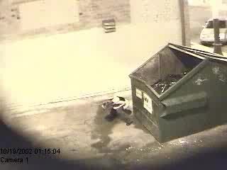 women peeing behind a dumpster