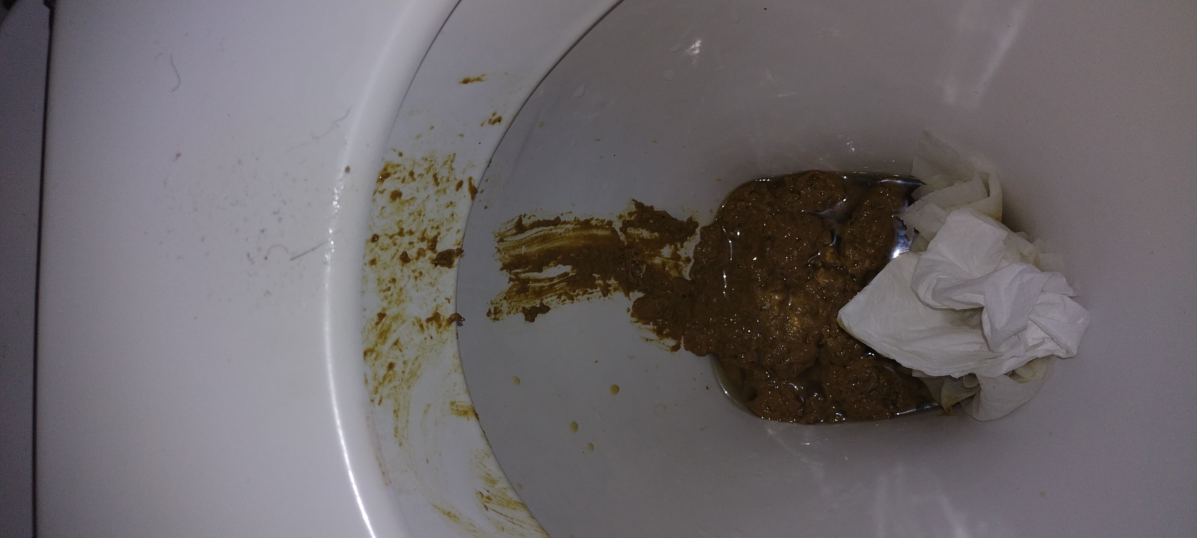Much needed slop first shit of the year on my mates loo