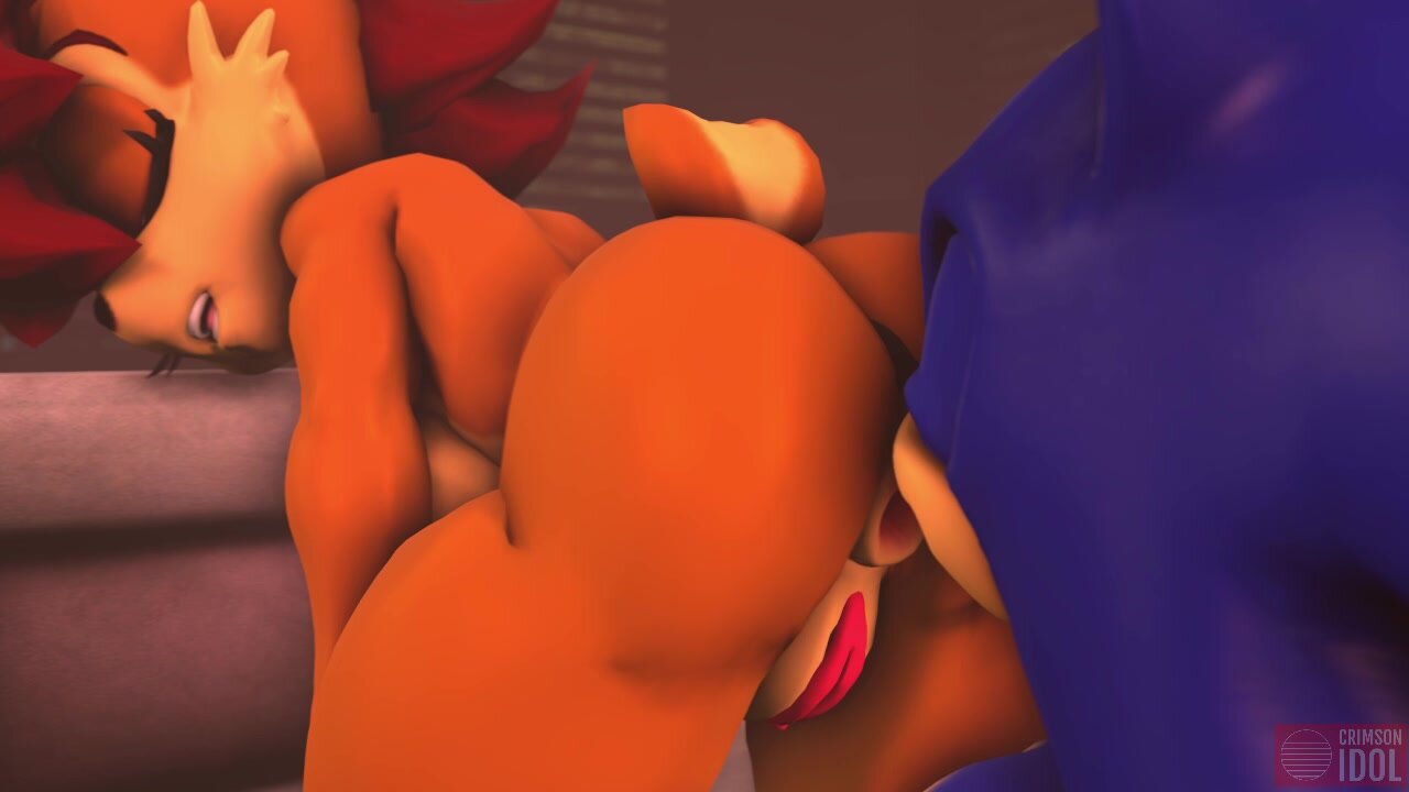 Sally gets gassy while having sex with sonic