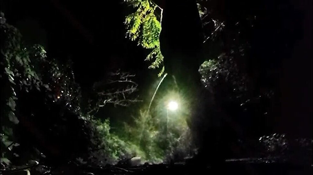 crazy pee and cum in a woods path at night