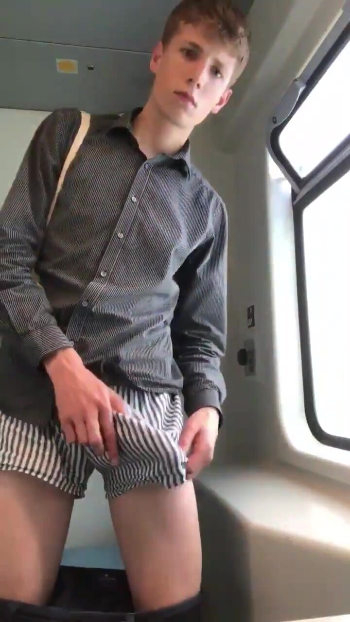 brit lad wanking in train