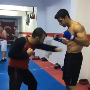 boxer gutpunching another boxer's abs