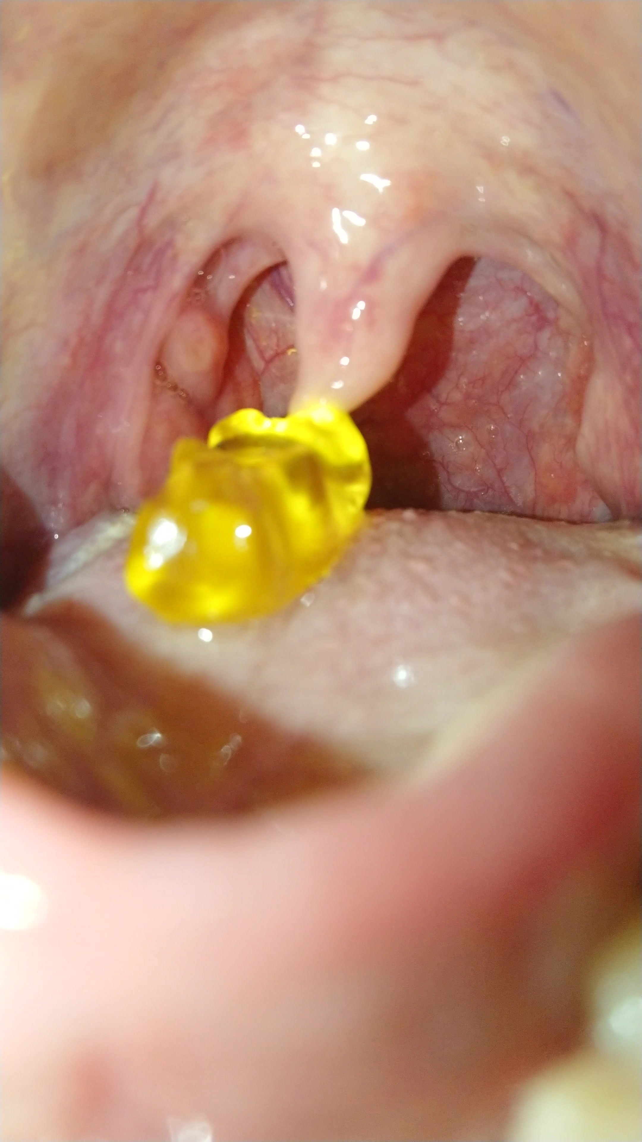 Male Vore 5  - Gummy bear goes down