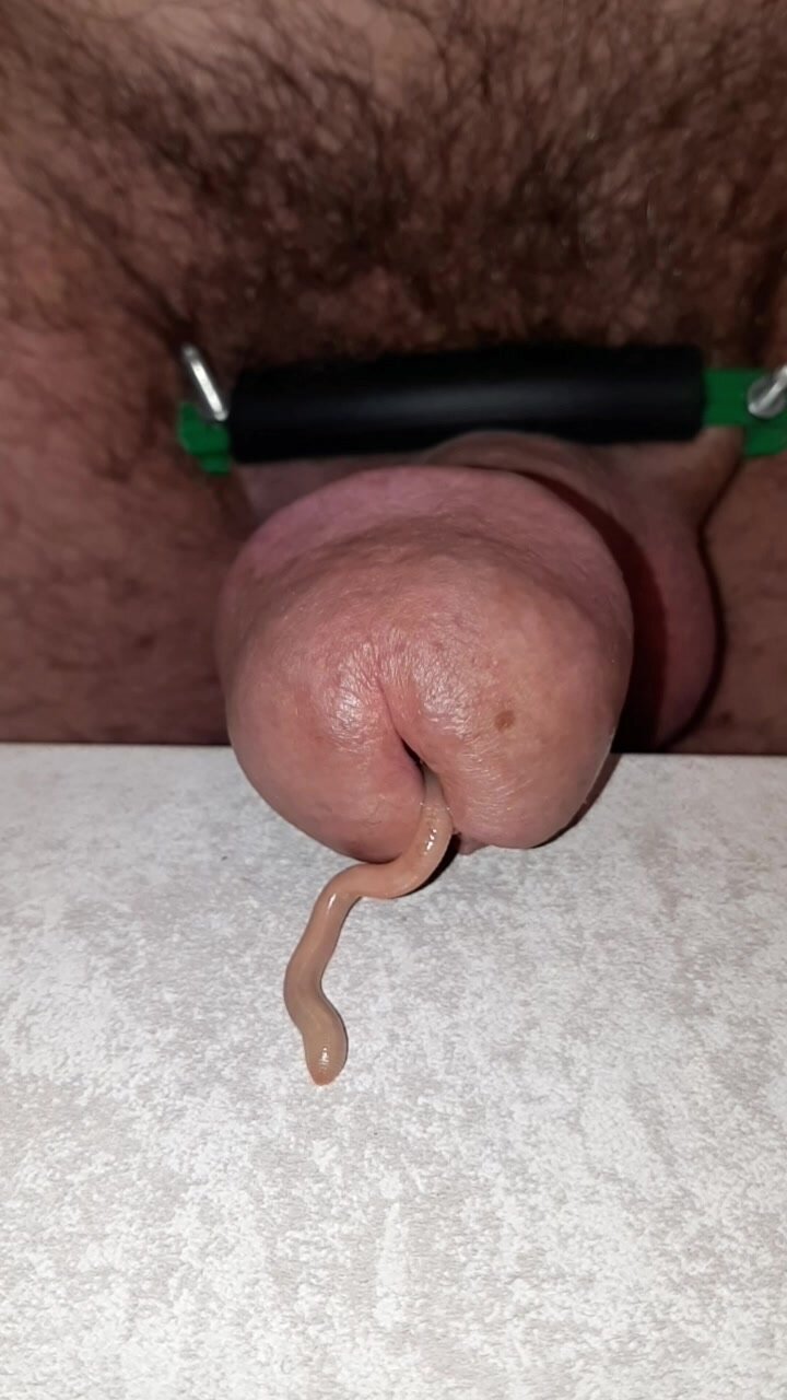 Little worm in cock - video 2