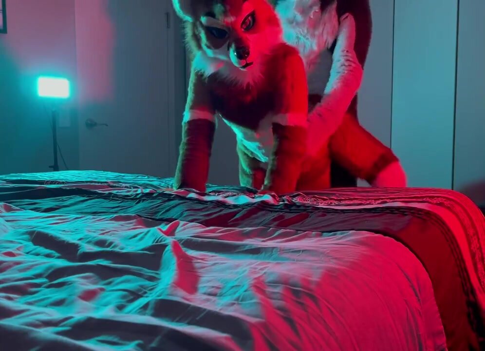 Fursuit Sex - video 22