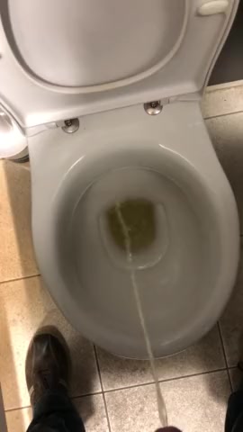 Drinking from toilet
