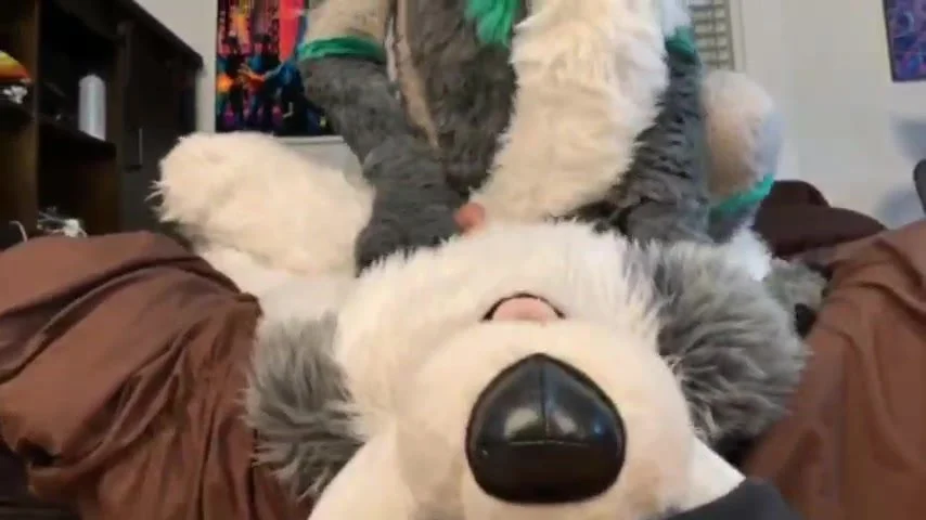 gay fursuit yiff 