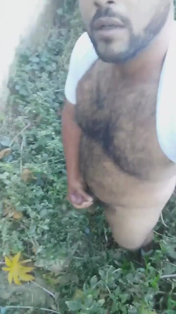 bear pissing #4