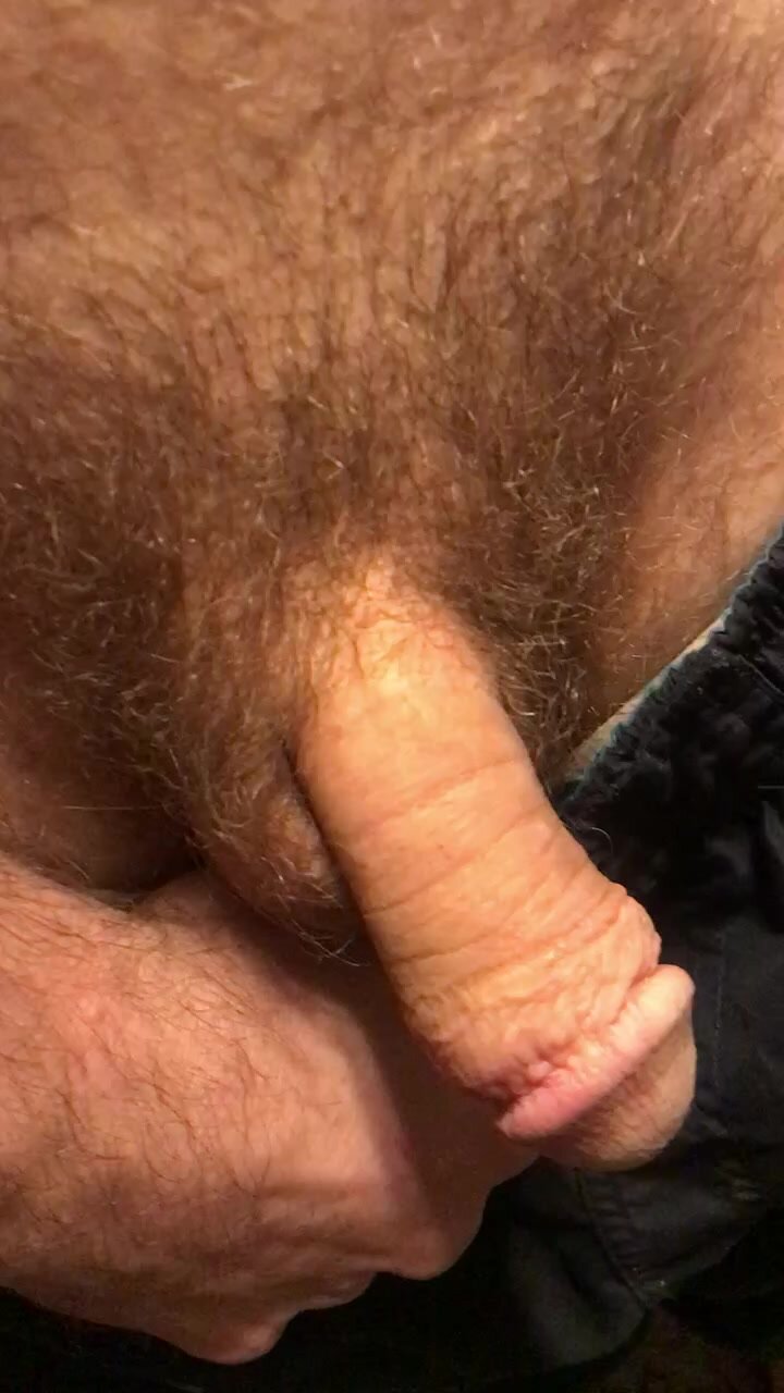 Progress 3 Pubes starting to make a bush-Read Descript