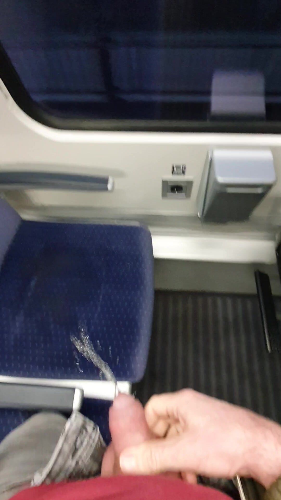 Pissing in german IC train