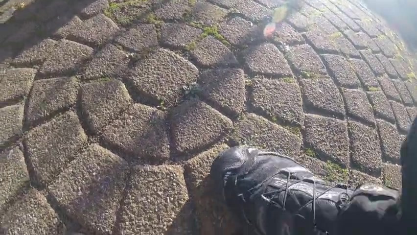 Stomp bug