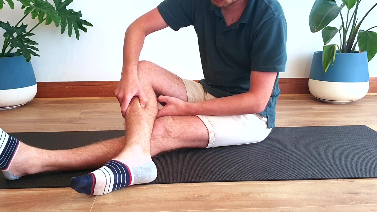 Trainer in No-Show Socks Wiggles Toes