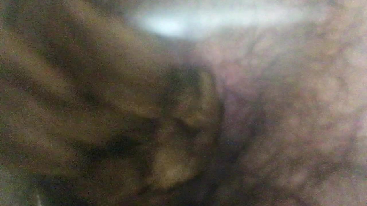 Afternoon shit - video 12