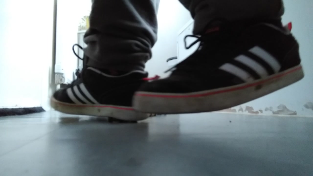 Sneaker Crush