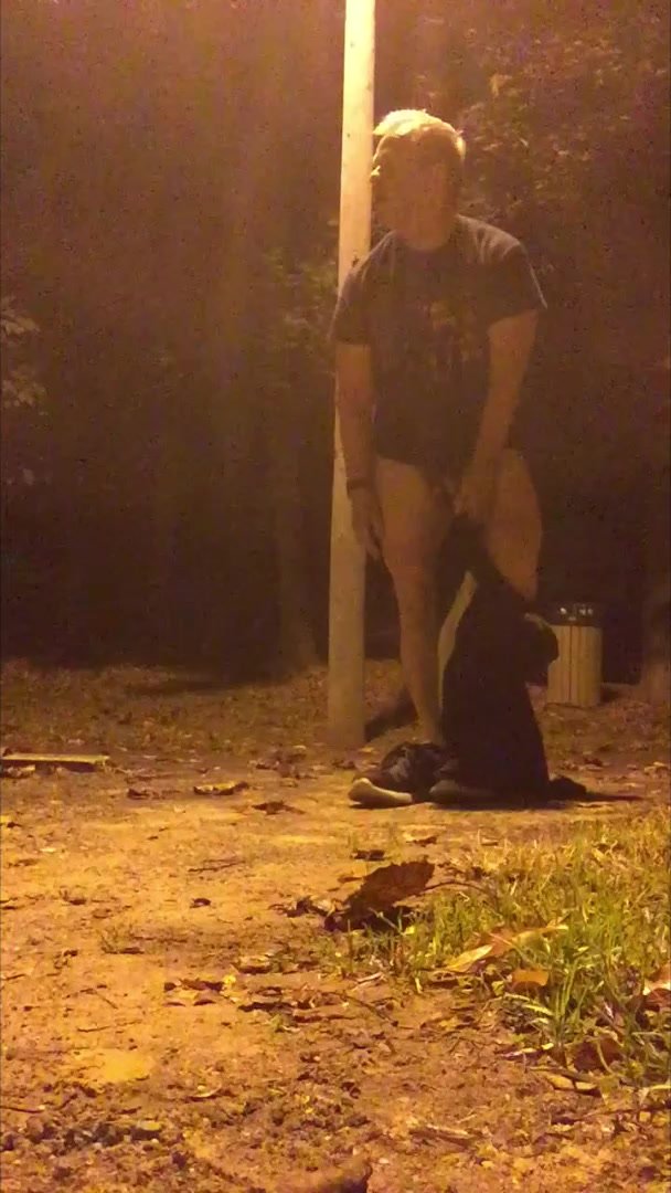 Shitting in a public park at night