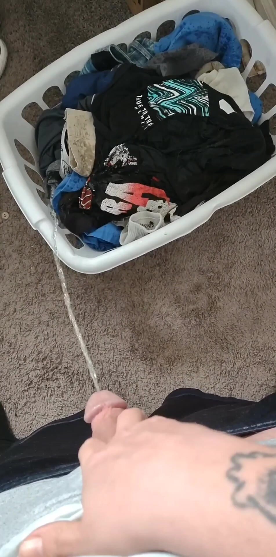 Pissing in laundry basket all day