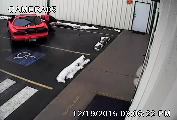 Parking shitter
