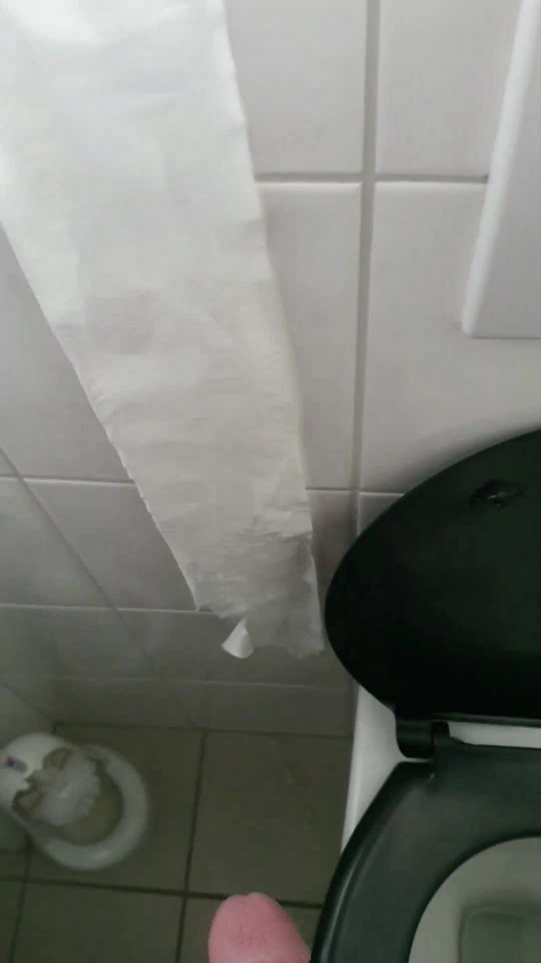 Toilet piss mess