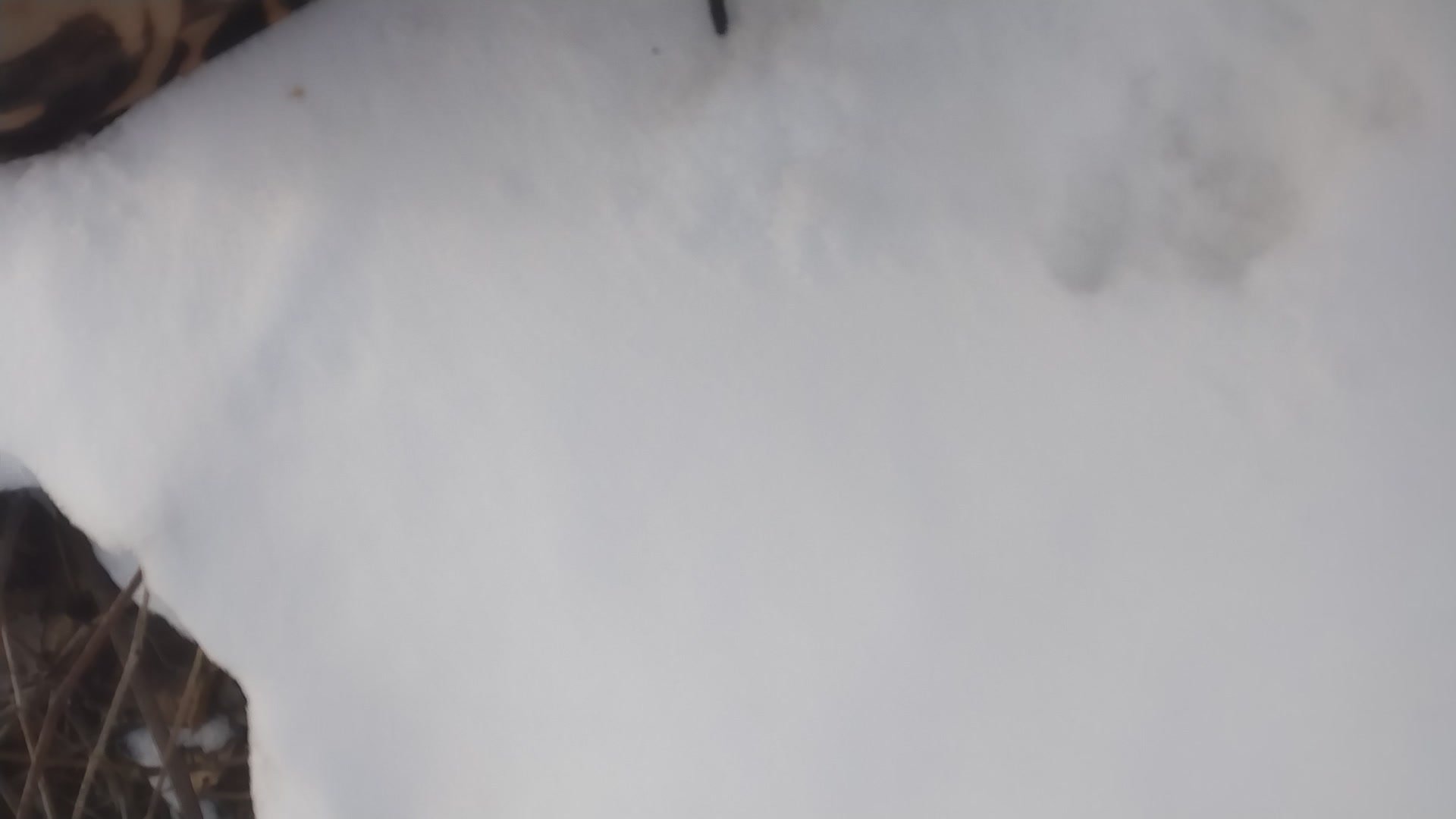 Freezing dick and balls