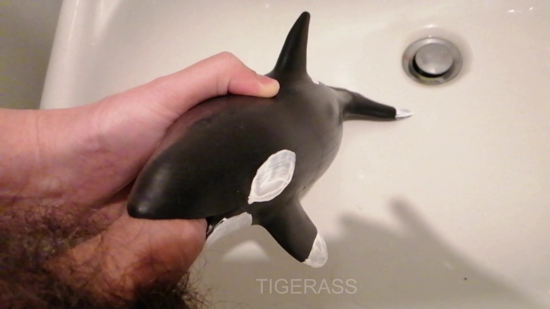 Piss in orca's mouth