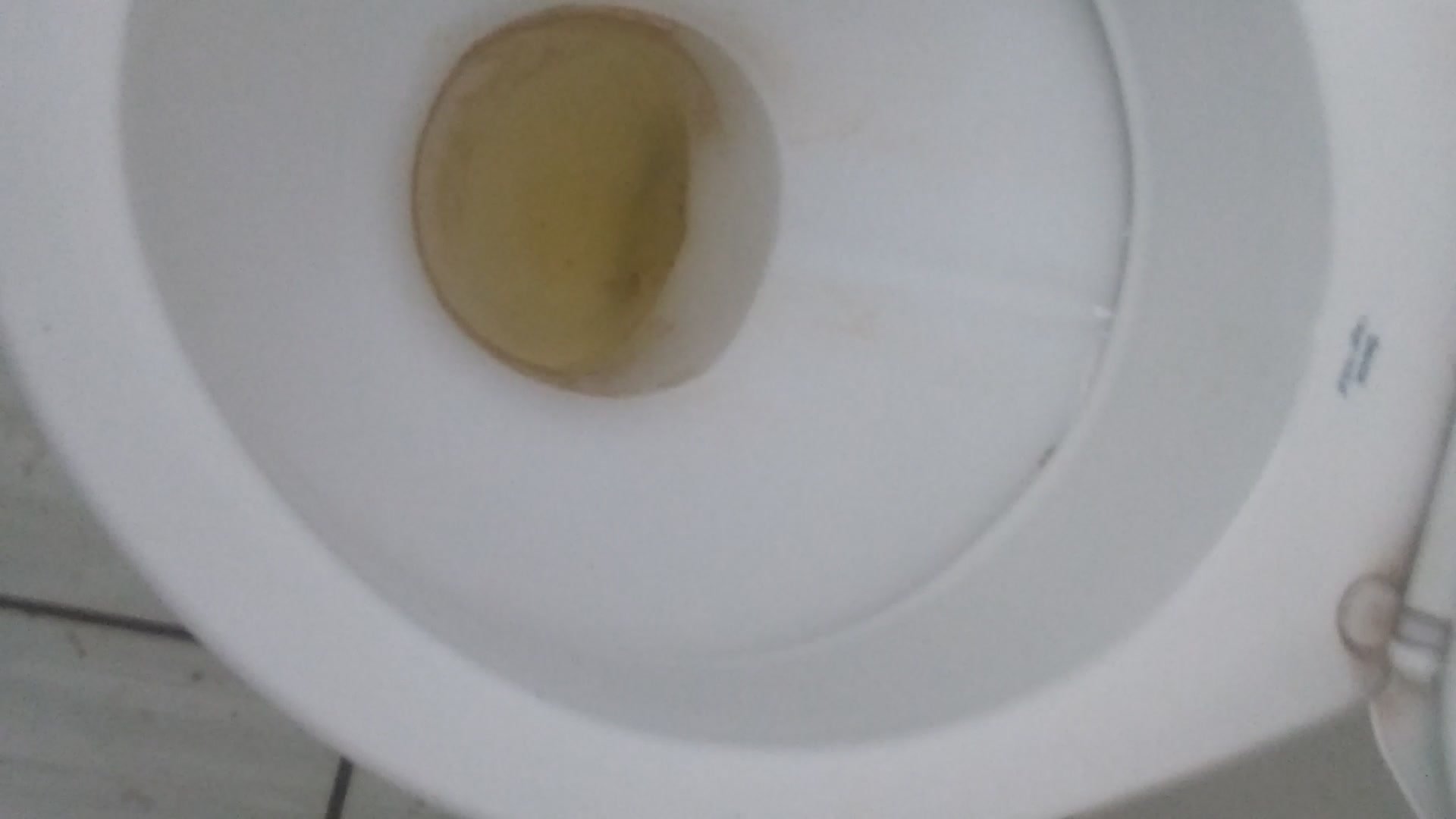 Tasty Dirty Public Toilet