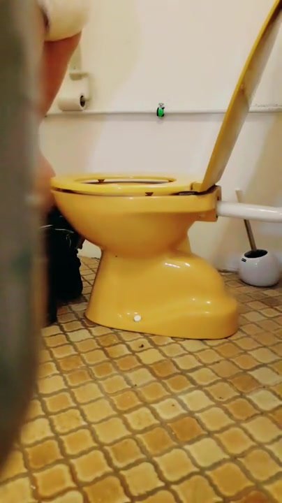 Diaper change voyeur toilet