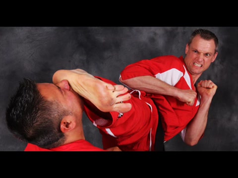 Gay martial artists