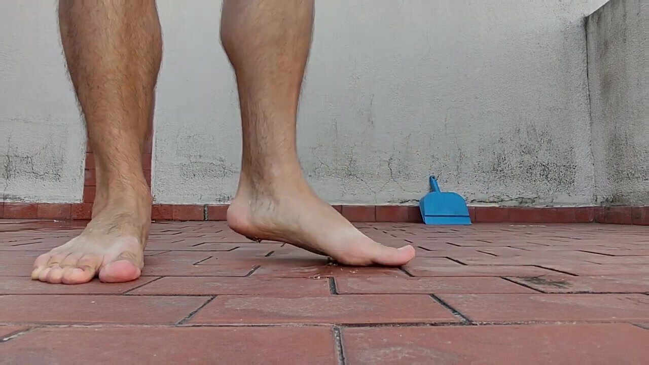 Roach Vs Feet, good fun 