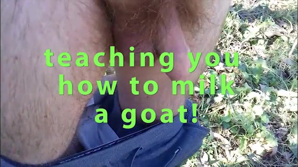 how milk a goat to produce genuine cheese
