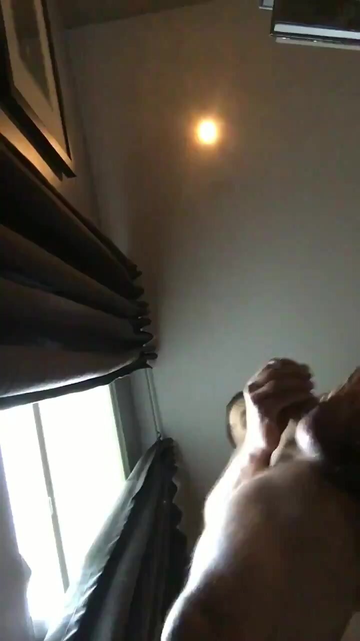 Beefy Bear - video 3