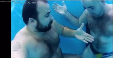 Chubby bear swimming barefaced underwater