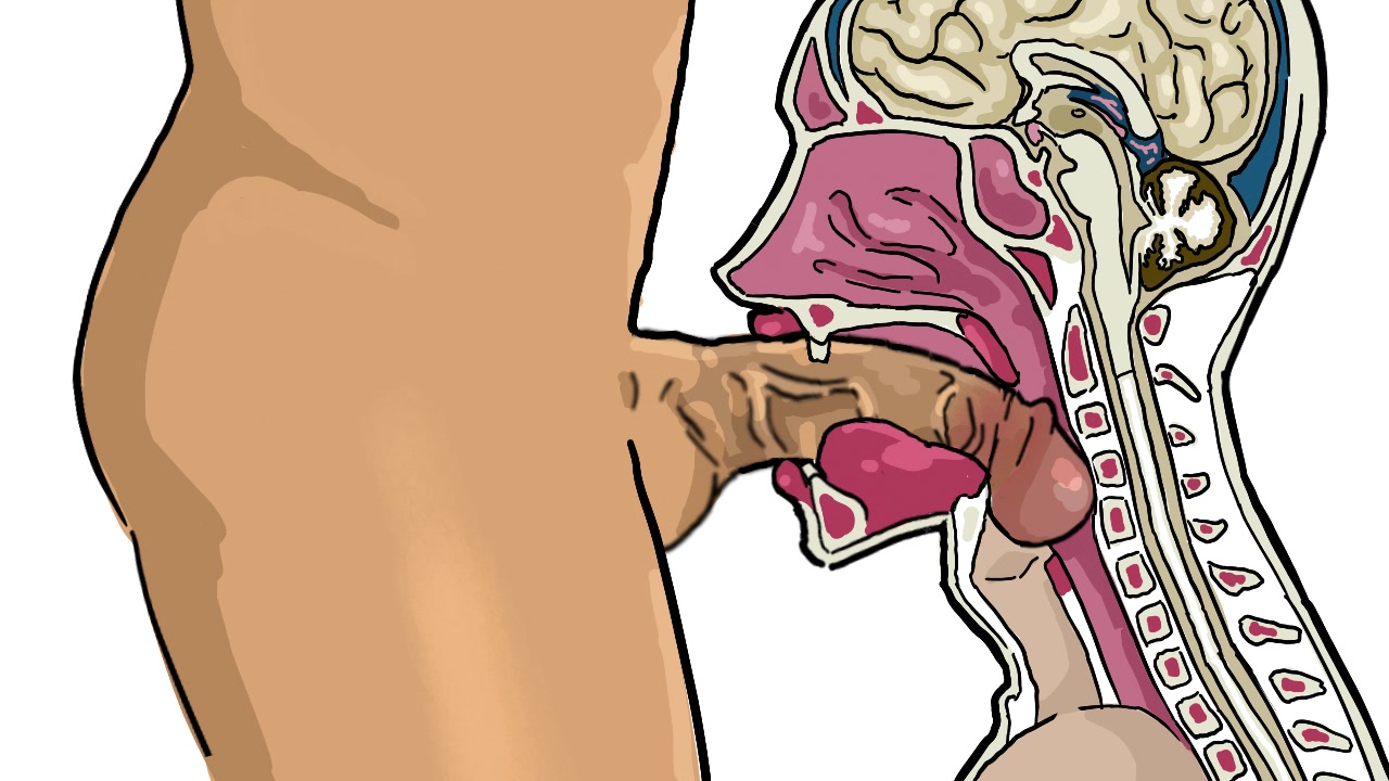 3d Anime Deepthroat Cross Section 