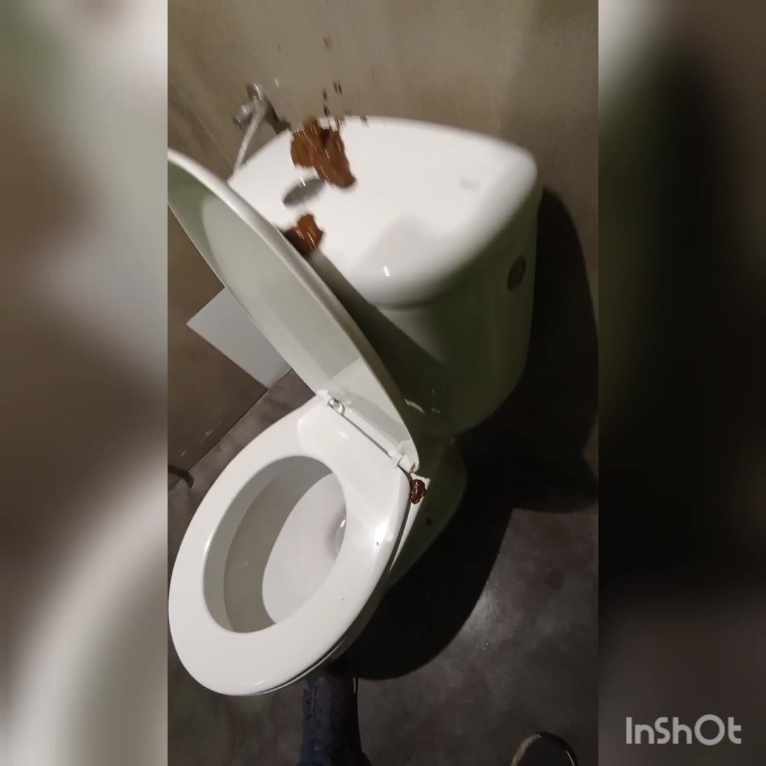 Public toilet mess - video 2