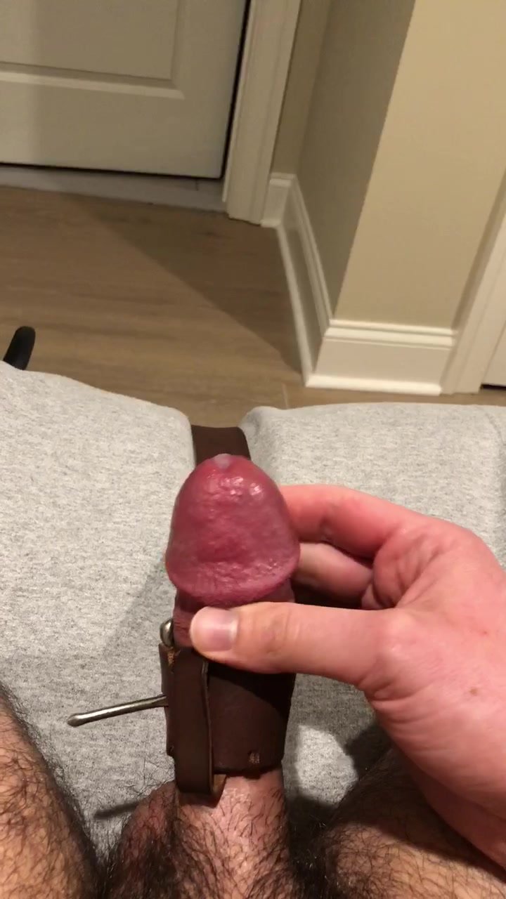 Engorged dumbbell frenulum orgasm