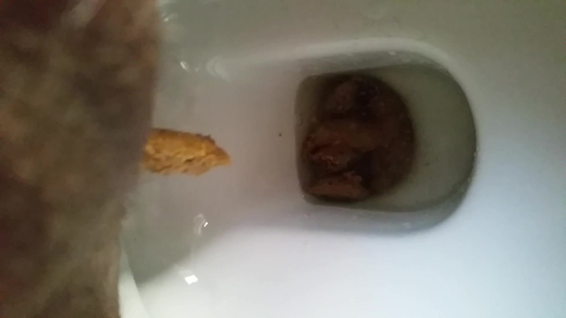 pee and poop in the hotel toilet