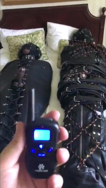 Gagged and Sleepsacked Subs receive Electro Torment