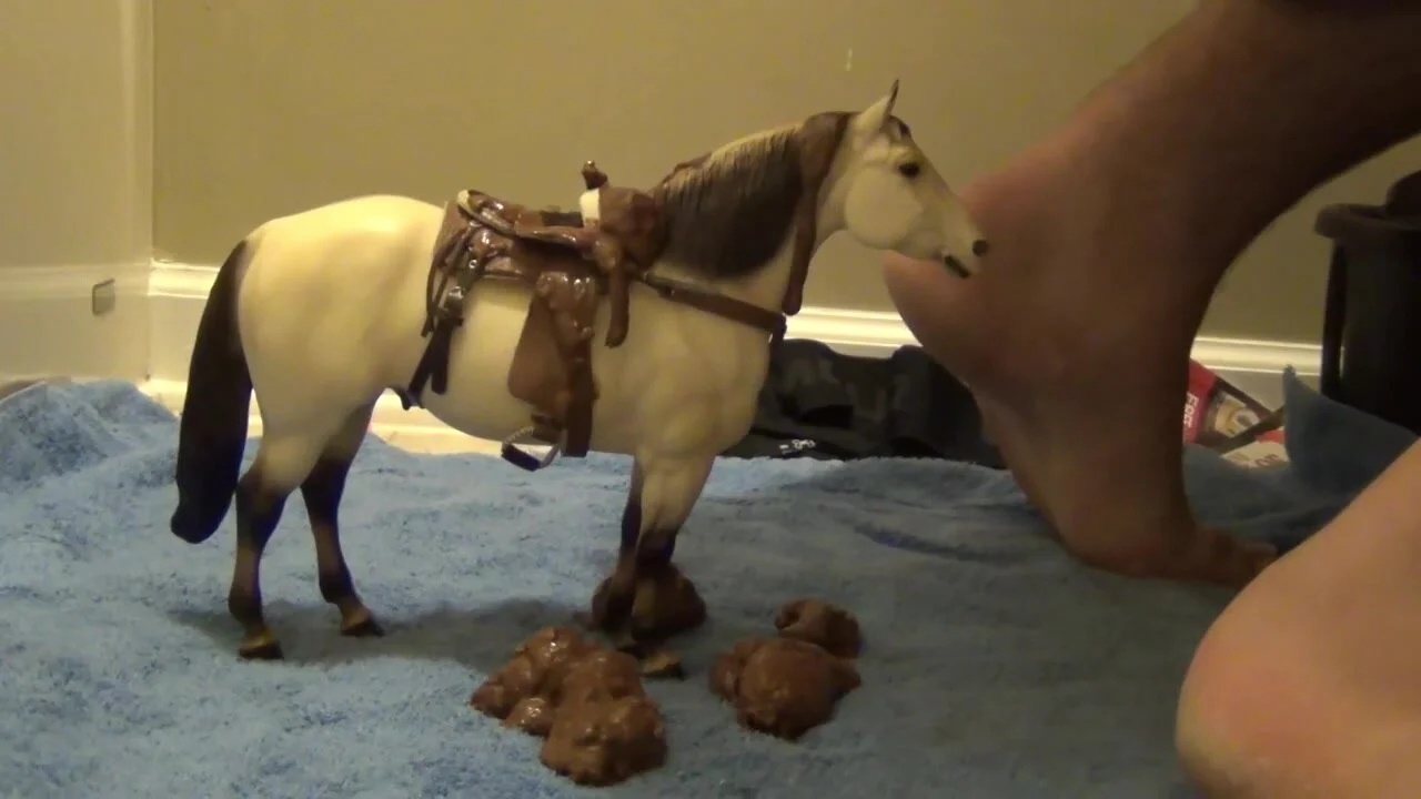 Horse Poo Porn - Pooping on Horse Toys Compilation - ThisVid.com