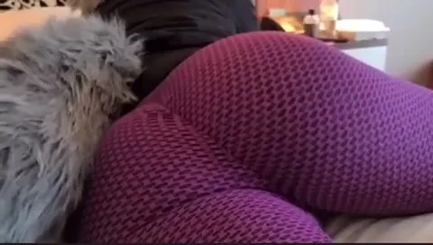 Furry in purple pants farts for you - ThisVid.com