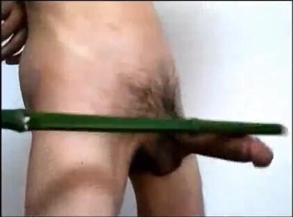 Bamboo - video 2