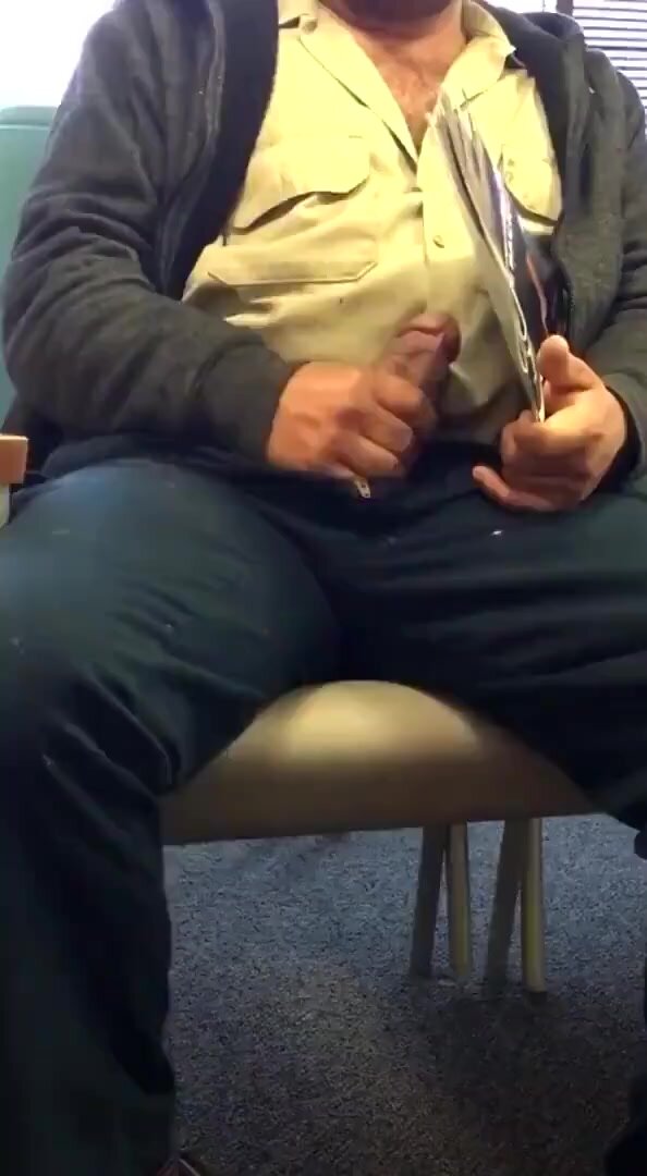 Risk-loving pig bates in waiting room