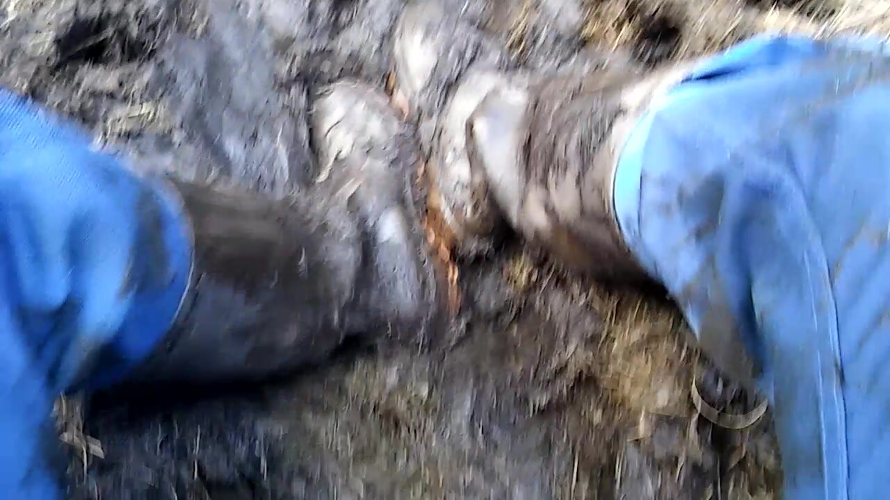 Rubberboots in shit
