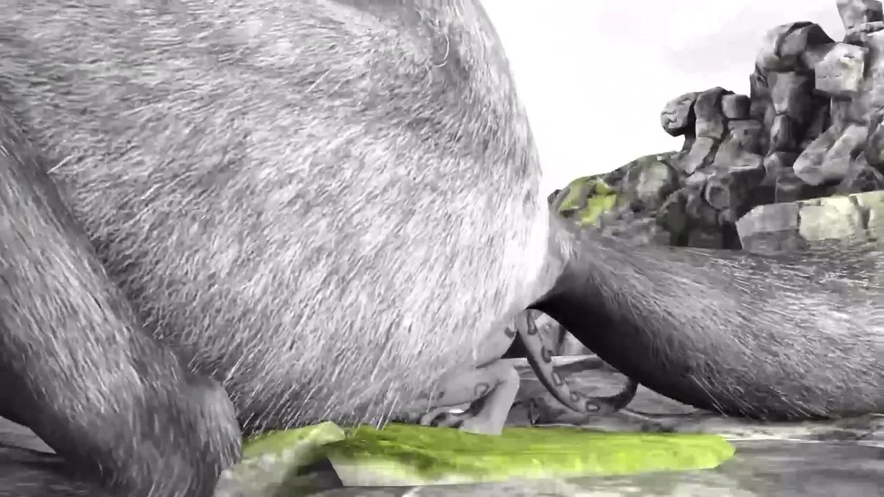 Animal anal vore