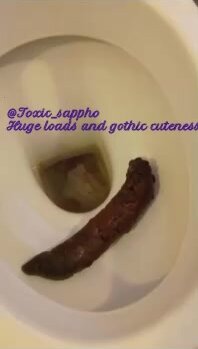 Huge brown turd clogs my toilet!