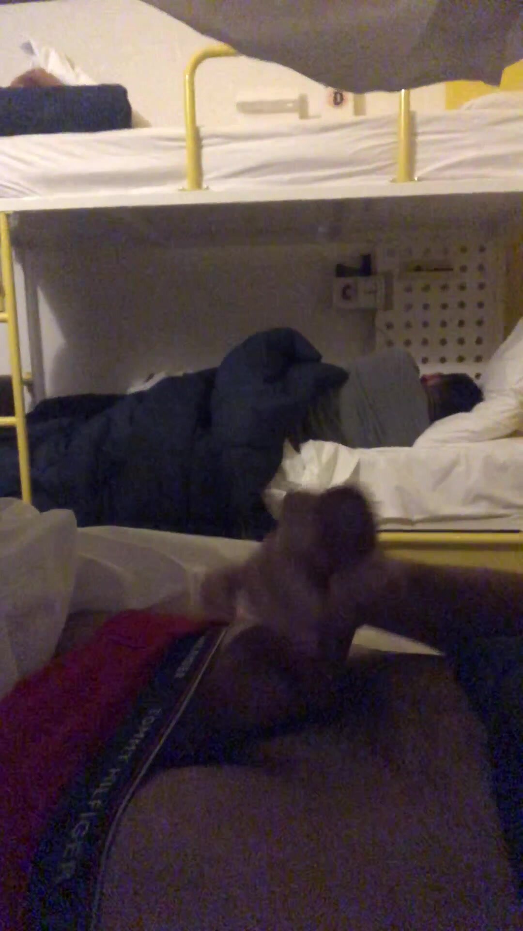 hostel jerk off