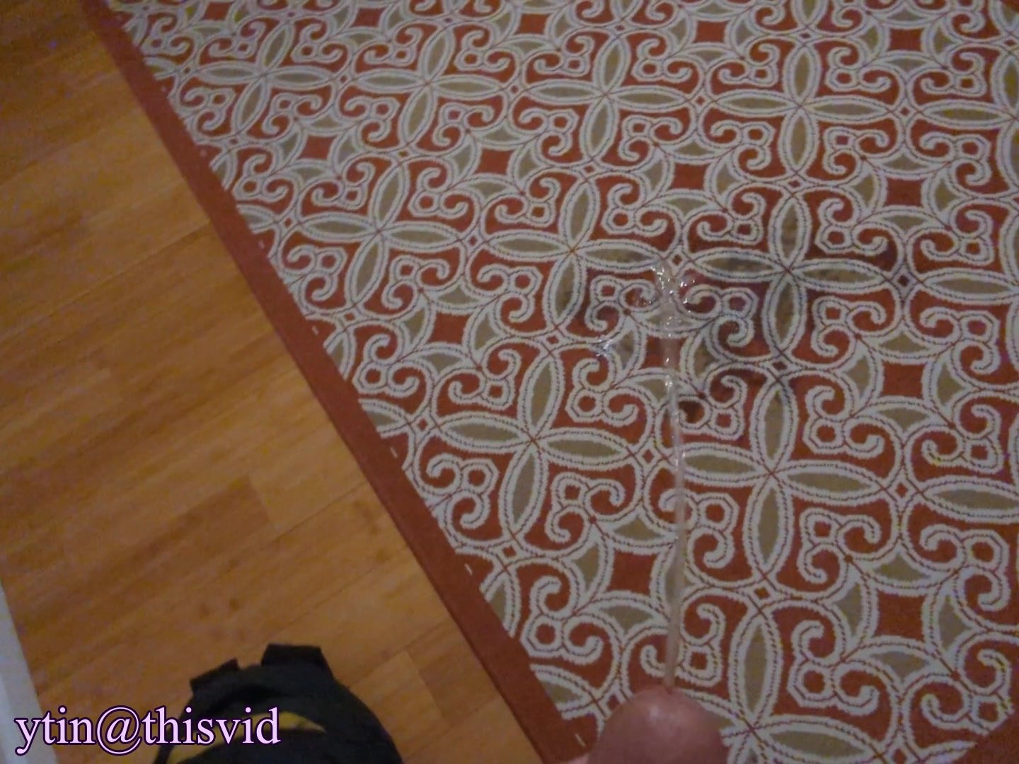 AirBNB Rug Piss