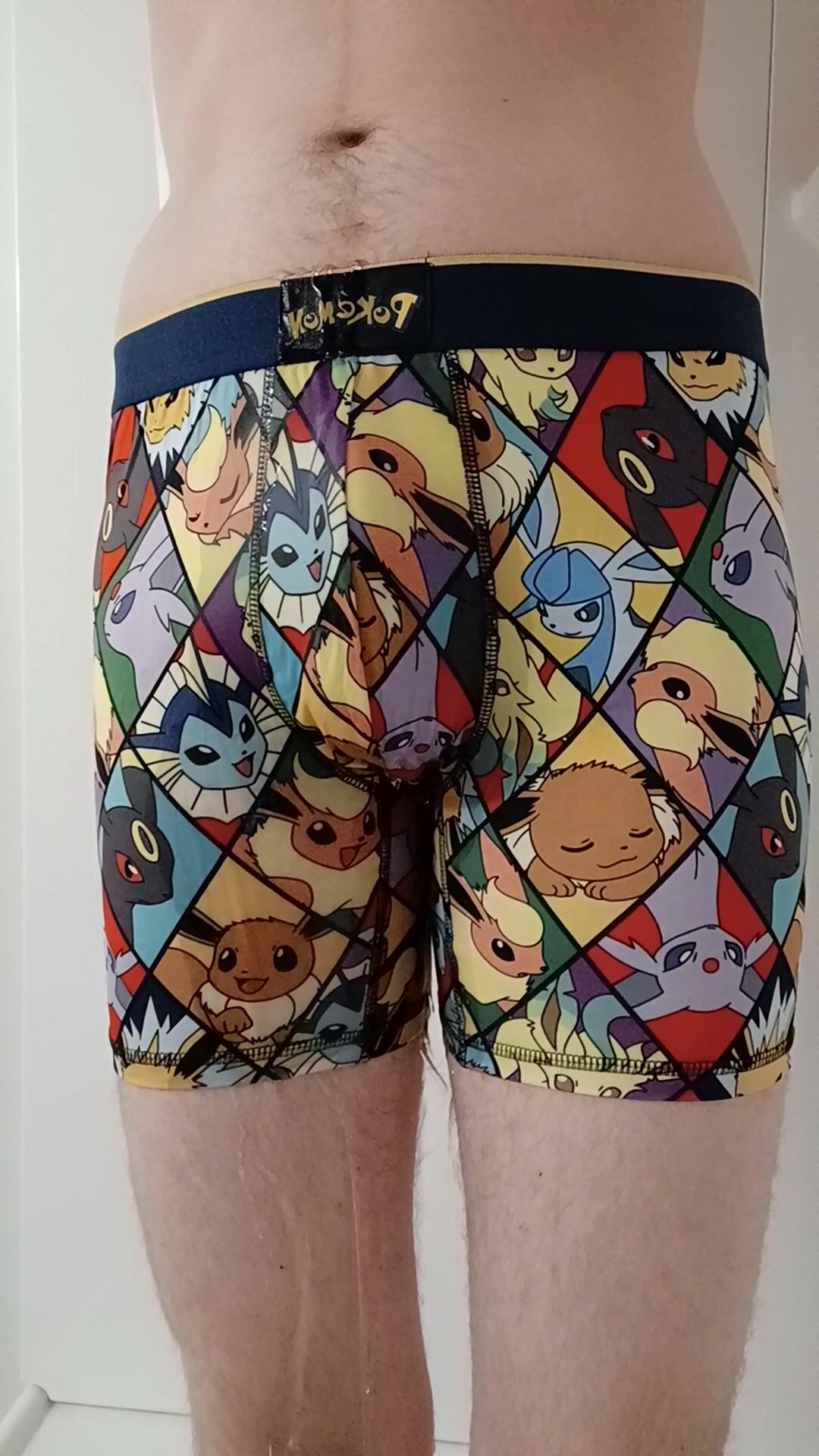 Wetting Pokemon Underwear