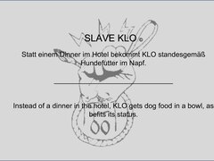 Klo frisst Hundefutter / Klo eats dog food